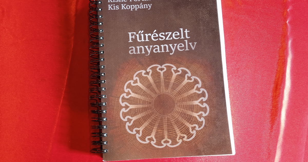 Erdély népi építkezése deszkamintákon